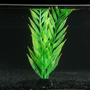 Растение силиконовое аквариумное, светящееся в темноте, 8 х 24 см, зелёное 7108810