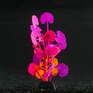 Растение силиконовое аквариумное, светящееся в темноте, 8 х 19 см, разноцветное 7108794