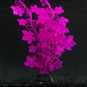Растение силиконовое аквариумное, светящееся в темноте, 7 х 25 см, фиолетовое 7108811
