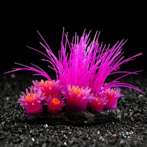 Декор для аквариума Coral Island силиконовый, светящийся в темноте, 11,5 х 9 см, фиолетовый   710885 7108856