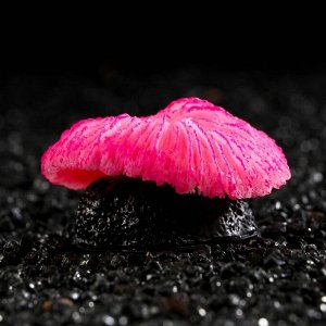 Декор для аквариума коралл "Пильчатый гриб", силиконовый, 5 х 2,5 см, розовый 7108819