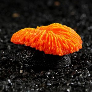 Декор для аквариума коралл "Пильчатый гриб", силиконовый, 5 х 2,5 см, оранжевый 7108820