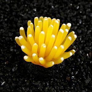 Декор для аквариума Морской анемон, силиконовый, 5 х 5 см, желтый