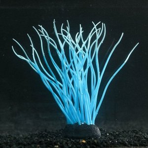 Декор для аквариума "Анемон", силиконовый, светящийся в темноте, 5 х 15 см, синий 7108824