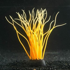 Декор для аквариума Анемон, силиконовый, светящийся в темноте, 5 х 15 см, оранжевый