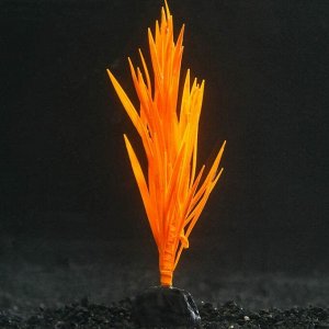Растение силиконовое аквариумное, светящееся в темноте, 7 х 12,5 см, оранжевое 7108757