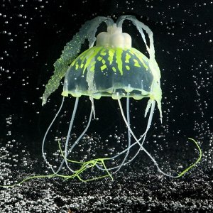 Декор для аквариума "Медуза" силиконовая, с неоновым эффектом, 10 х 10 х 20,5 см, желтая 7108872