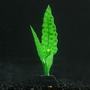 Растение силиконовое аквариумное, светящееся в темноте, 5 х 14 см, зелёное 7108760