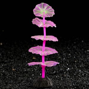 Растение силиконовое аквариумное, светящееся в темноте, 5 х 12,5 см, фиолетовое 7108759