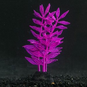 Растение силиконовое аквариумное, светящееся в темноте, 8 х 15 см, фиолетовое 7108774