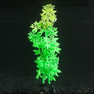 Растение силиконовое аквариумное, светящееся в темноте, 6,5 х 19 см, зелёное 7108776