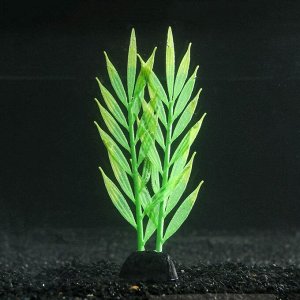 Растение силиконовое аквариумное, светящееся в темноте, 6,5 х 18 см, зелёное 7108780