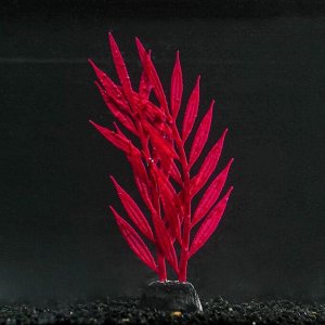 Растение силиконовое аквариумное, светящееся в темноте, 6,5 х 18 см, красное 7108781