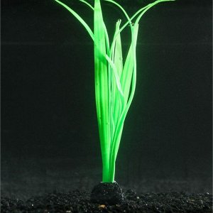 Растение силиконовое аквариумное, светящееся в темноте, 8 х 22 см, зелёное 7108797