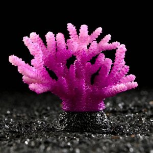 Декоративный коралл "Акропора" силиконовый, светящийся, 7,5 х 9 см, фиолетовый 7108843