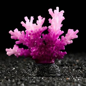 Декоративный коралл Акропора силиконовый, светящийся, 7,5 х 9 см, фиолетовый