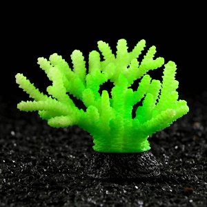 Декоративный коралл "Акропора" силиконовый, светящийся, 7,5 х 9 см, зелёный 7108844