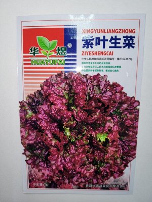 Фиолетовый лолло-россо салат