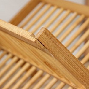 Сушилка для посуды Доляна «Бамбуковый лес», 2 яруса, 47*30 см, бамбук