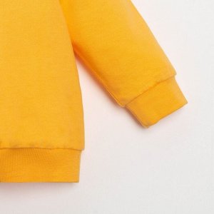 Комплект: джемпер и брюки Крошка Я "Dogs", рост, цвет оранжевый/белый