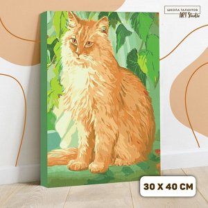 Картина по номерам на холсте с подрамником «Рыжий кот», 40х30 см