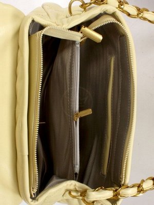 Сумка женская искусственная кожа Ch&K-8005,  1отд+карм/перег,  желтый SALE 246034