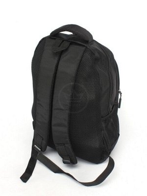 Рюкзак SAL-8081,  молодежный,  3отд,  3внеш.карм,  черный/серый 246146