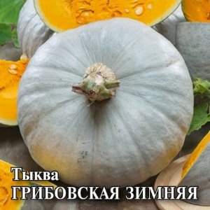 Тыква Грибовская зимняя чб