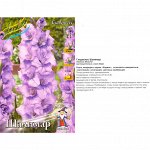 Гладиолус Шалимар (Колорлайн) (уп-8 шт) сиреневый с фиолетовым пятном, h-140см