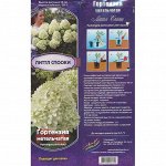 Гортензия Литтл Спооки метельчатая (Колорлайн) 1шт (коробкаР9) для патио!!!зел белые,-30С