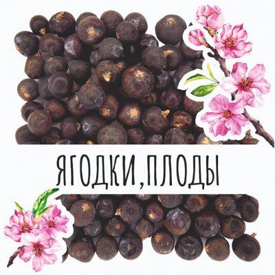 Специи, пряности, сушёные ягодки — чайные добавки — Сушёные ягодки, плоды