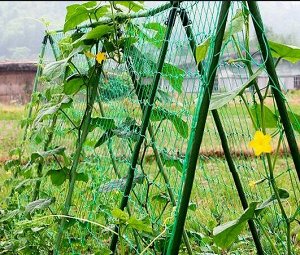 Сетка садовая, шпалерная, мягкая, 2 × 10 м, ячейка 15 × 17 см, зелёная