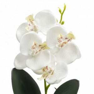 Декорация &quot;Орхидея в горшочке&quot;, 28 см, в … ассортименте