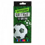 Карандаши цветные/Набор цветных карандашей