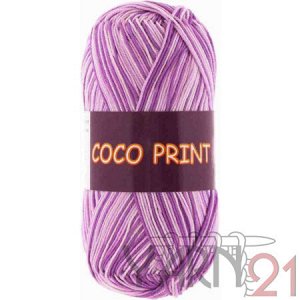 Coco Print №4670