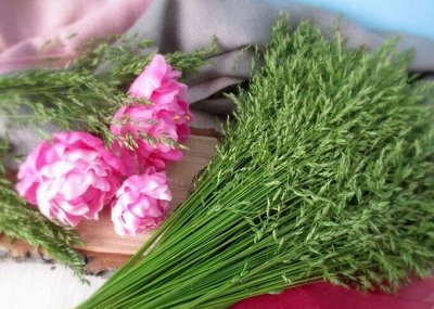 ☑ Выгодные покупки от 15 рублей — Цветы и флористика