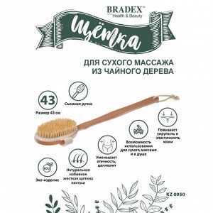 Щётка для сухого массажа Bradex из чайного дерева с щетиной кактуса со съемной ручкой 43 см 787837