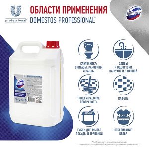 NEW Domestos Professional, профессиональное чистящее средство, дезинфицирующее, для клининга, 5 л