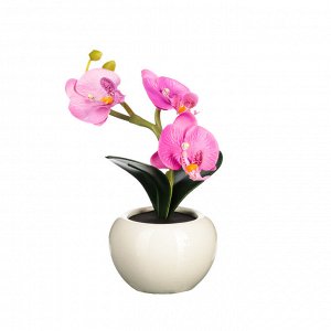 LADECOR Светильник в виде орхидей в керамическом горшке, 12,2x12,2x19см, 1хCR2032, 2 цвета