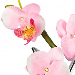LADECOR Светильник в виде орхидей в керамическом горшке, 12,2x12,2x19см, 1хCR2032, 2 цвета