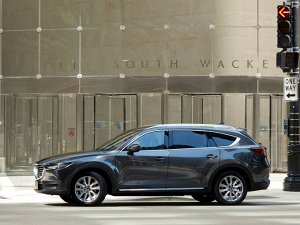 Ковры салонные 3D Mazda CX-8 (6 мест) (2017 - н.в.) правый руль