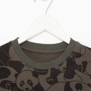 Комплект для мальчика (джемпер, брюки) Панда, цвет хаки, рост 116 см