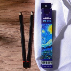 Набор чернографитных карандашей 12 шт Van Gogh