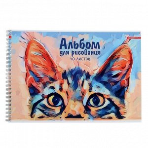 Альбом для рисования А4, 40 листов на гребне "Котенок", обложка мелованный картон, блок 100 г/м2