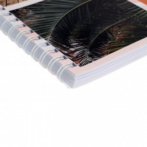 Calligrata Альбом для рисования А4, 60 листов на гребне &quot;Путешествие&quot;, обложка мелованная бумага, блок 100 г/м?