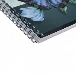 Альбом для рисования А4, 40 листов на гребне "Синие бабочки", обложка мелованный картон, выборочный УФ-лак, конгрев, блок 100 г/м?