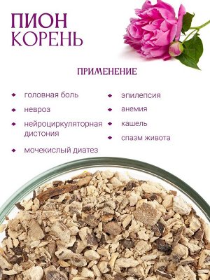 Пион корень