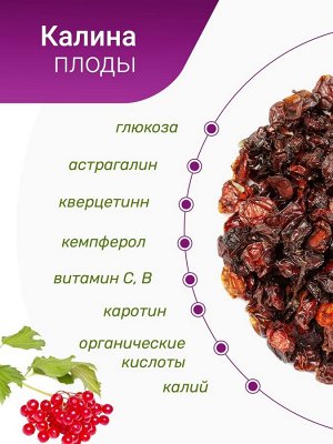 Травы горного Крыма Калина плоды