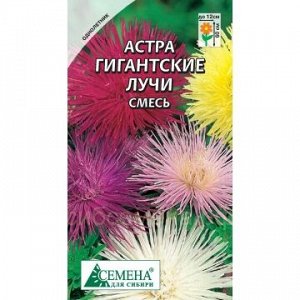 Астра Гигантские лучи смесь игольчатая, 0,2г (цв.)