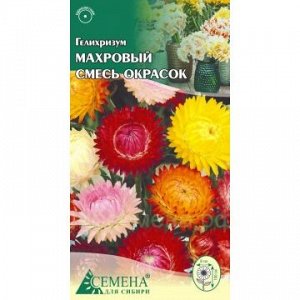 Гелихризум махровый смесь, 0,3г (цв.)